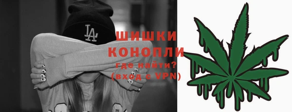 мдпв Новодвинск