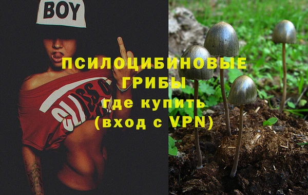 mdpv Нея