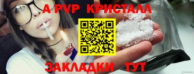 спиды Донской