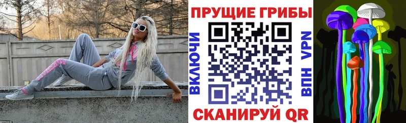сколько стоит  Майский  Псилоцибиновые грибы Magic Shrooms 