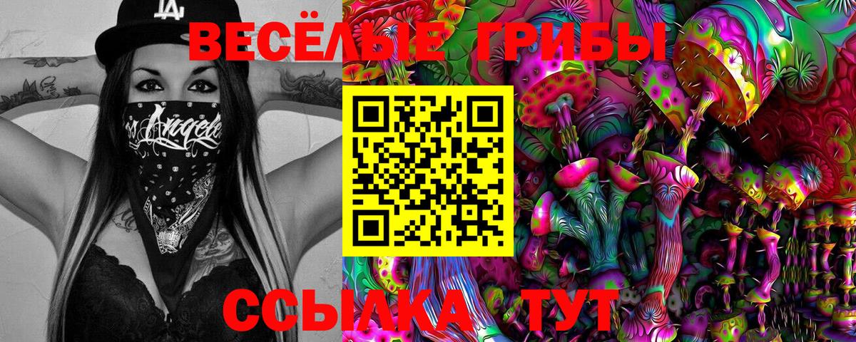 Псилоцибиновые грибы мухоморы Майский